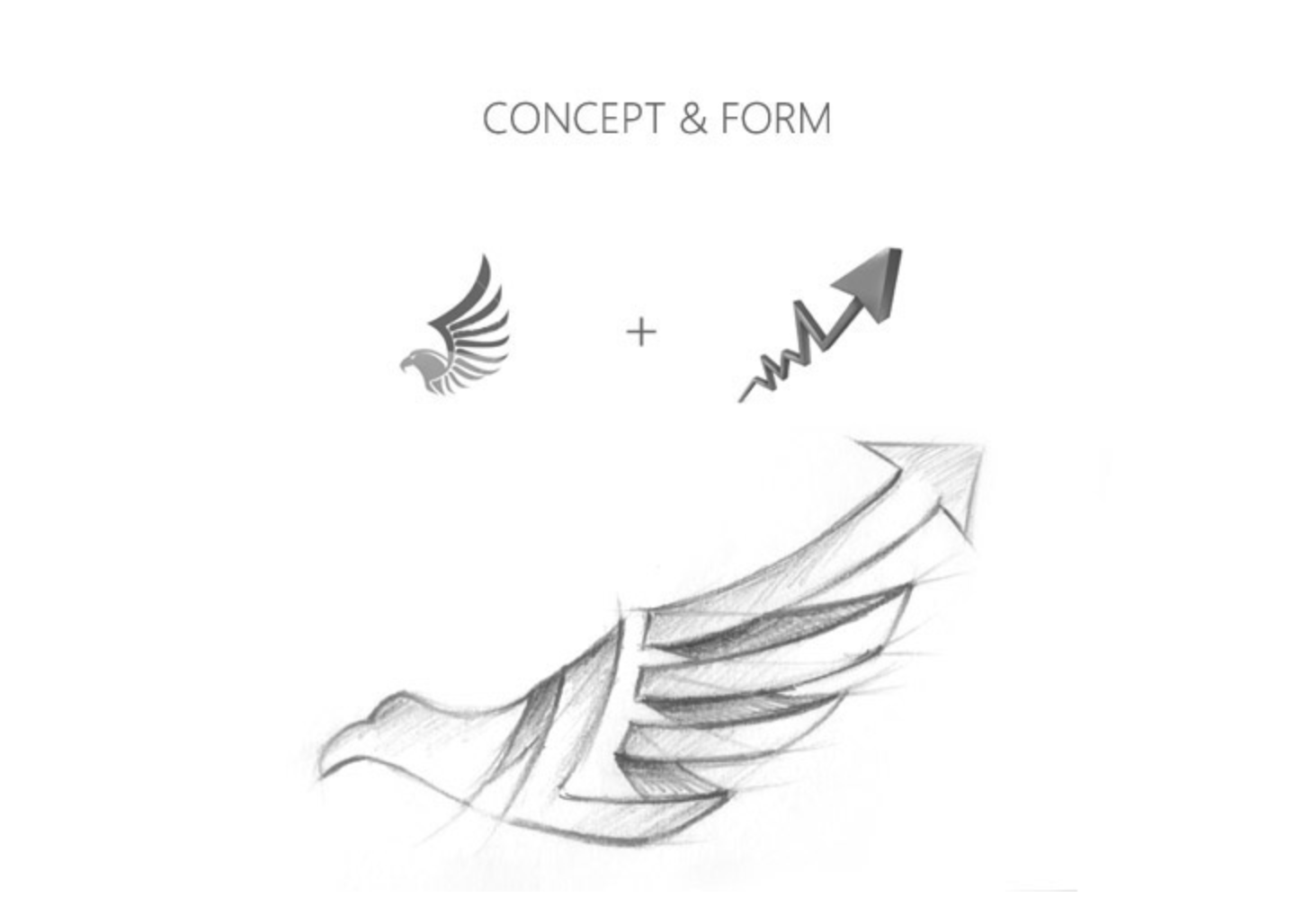 city falcon logo concept and sketch