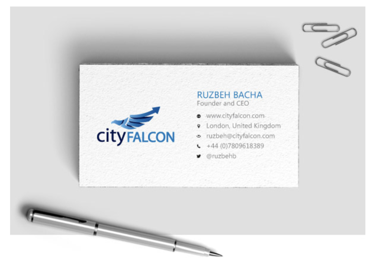 city falcon ruzbeh bacha business card